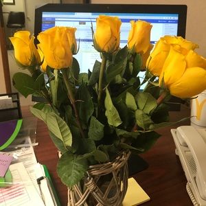 Meet your Posher, Brittany